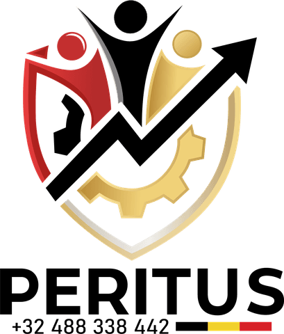 Peritus — Europese detachering en Belgische bouw